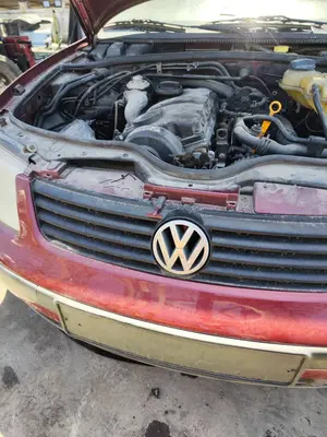 Foto de REJILLA DELANTERA VOLKSWAGEN PASSAT BERLINA (3B2) 1.9 TDI (116 CV / 85 KW) foto 3