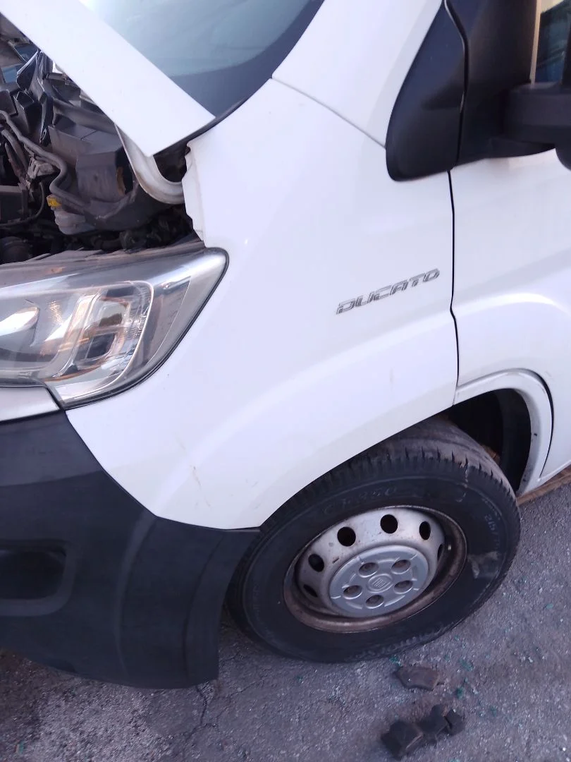 Foto de ALETA DELANTERA IZQUIERDA FIAT DUCATO 3 MAXI FURGÓN TS 35 (295) 2.3 JTD CAT (131 CV / 96 KW)