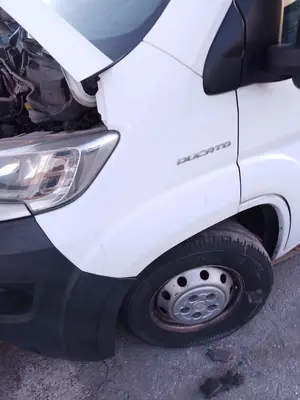 Foto de ALETA DELANTERA IZQUIERDA FIAT DUCATO 3 MAXI FURGÓN TS 35 (295) 2.3 JTD CAT (131 CV / 96 KW)