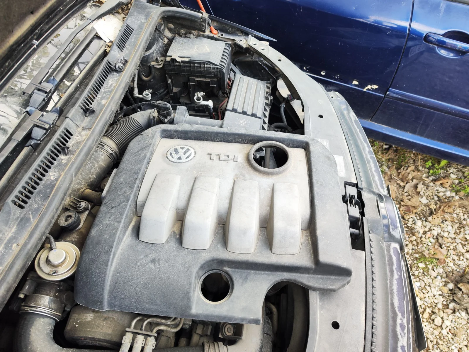 Foto de TAPA MOTOR VOLKSWAGEN GOLF PLUS V (5M1) 1.9 TDI (105 CV / 77 KW)
