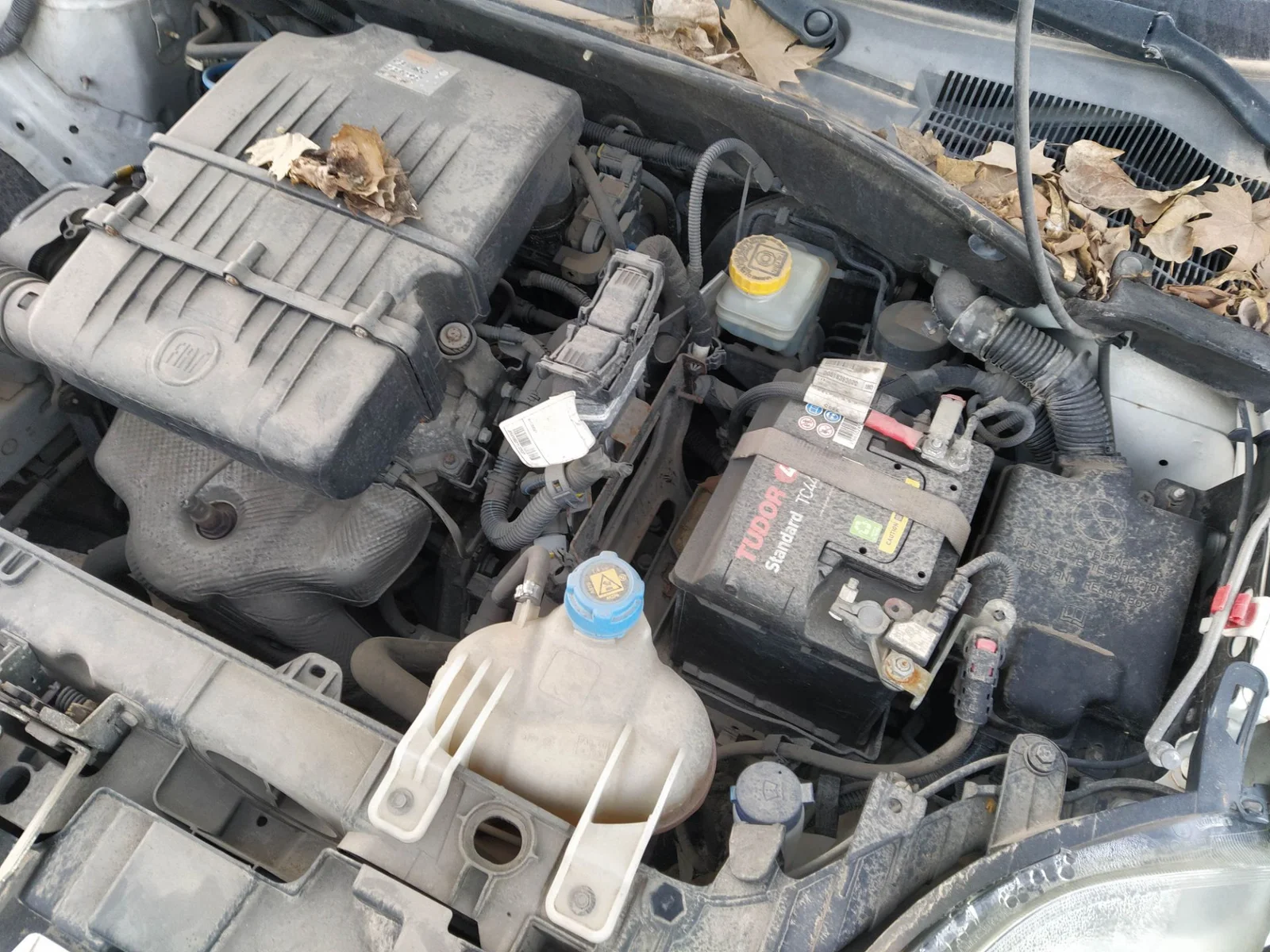 Foto de DEPOSITO EXPANSION FIAT III PUNTO (199) 1.4 CAT (78 CV / 57 KW) referencia 0055700508