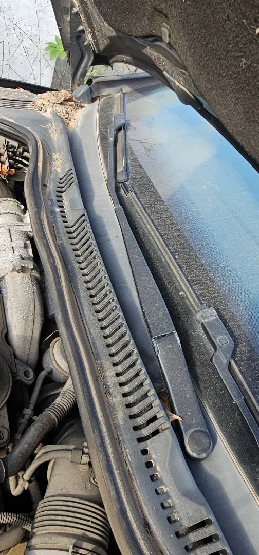 Foto de BRAZO LIMPIA DELANTERO DERECHO SEAT IBIZA BERLINA (6J5) 1.4 TDI (80 CV / 59 KW) referencia 6J1955410