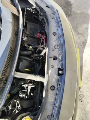 Foto de PANEL FRONTAL RENAULT SCENIC II (JM) 1.5 dCi Diesel (106 CV / 78 KW)