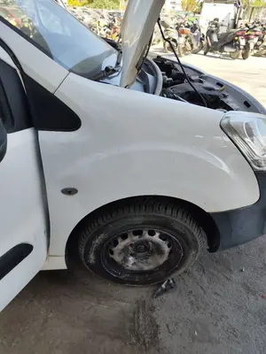 Foto de ALETA DELANTERA DERECHA CITROEN BERLINGO FURGÓN 1.6 Blue-HDI FAP (99 CV / 73 KW)