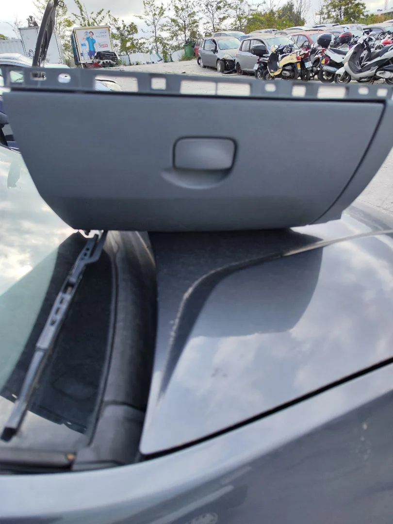 Foto de GUANTERA RENAULT CLIO III 1.2 16V (75 CV / 55 KW)
