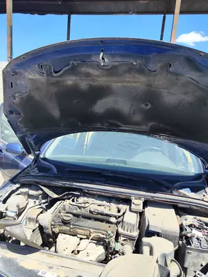 Foto de CAPO PEUGEOT 307 BERLINA (S2) 1.4 16V CAT (KFU / ET3J4) (88 CV / 65 KW)