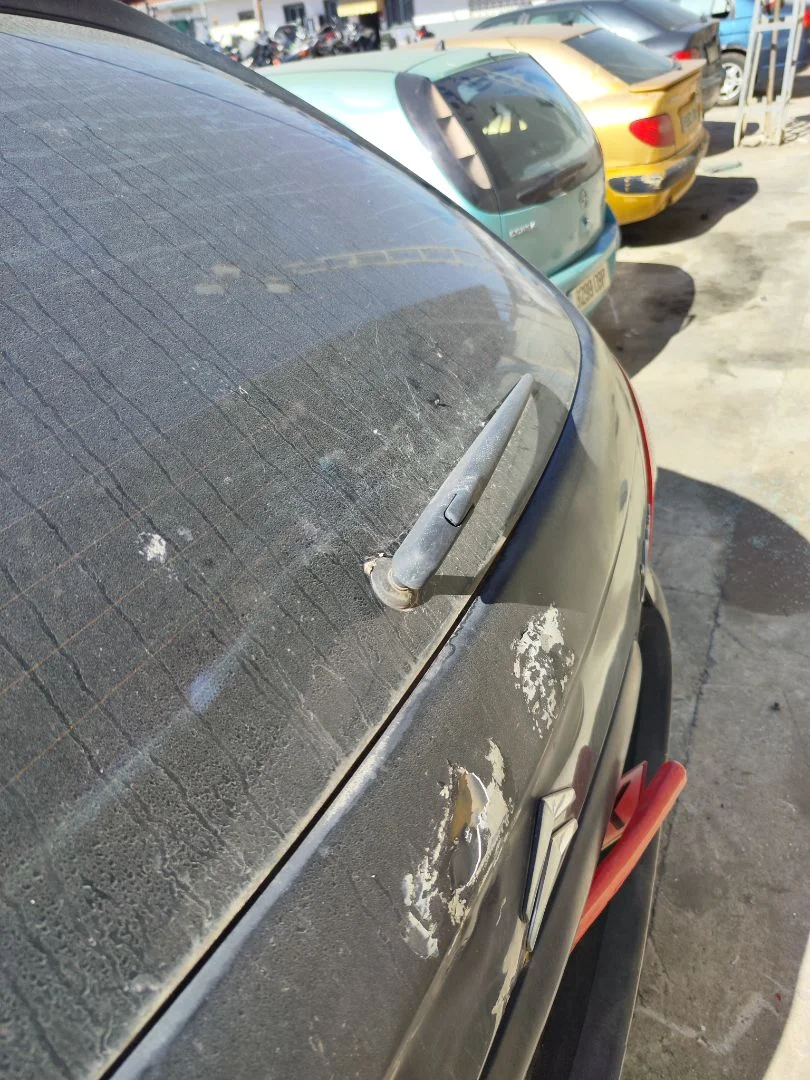 Foto de MOTOR LIMPIA TRASERO CITROEN XSARA PICASSO 1.6 HDi CAT (9HY / DV6TED4) (109 CV / 80 KW)