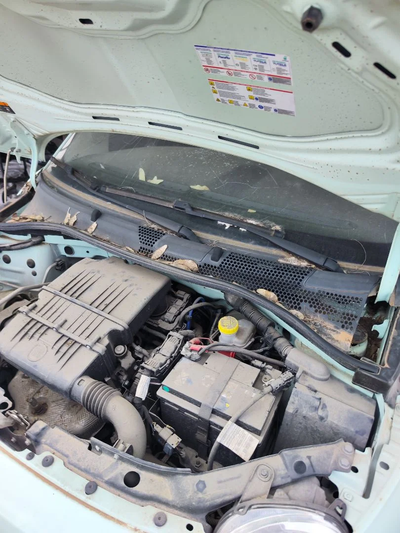 Foto de TORPEDO FIAT 500 (150) BERLINA 1.2 CAT (69 CV / 51 KW) referencia 0735652424