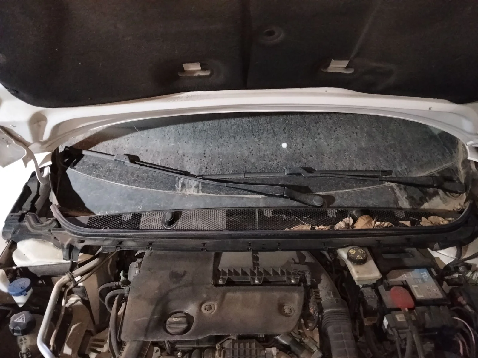 Foto de TORPEDO PEUGEOT 308