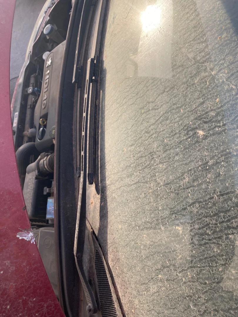 Foto de BRAZO LIMPIA DELANTERO IZQUIERDO PEUGEOT 307 BREAK / SW (S1)(04.2002) 2.0 16V HDi FAP CAT (RHR / DW10BTED4) (136 CV / 100 KW) referencia 6429S9