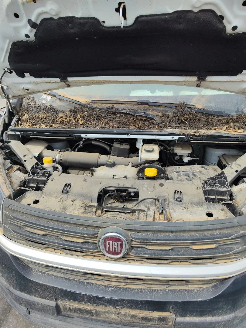 Foto de ARTICULACION LIMPIA DELANTERA FIAT TALENTO FURGÓN (296) 2.0 Turbodiesel Ecojet (119 CV / 88 KW)
