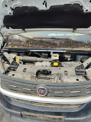 Foto de ARTICULACION LIMPIA DELANTERA FIAT TALENTO FURGÓN (296) 2.0 Turbodiesel Ecojet (119 CV / 88 KW)