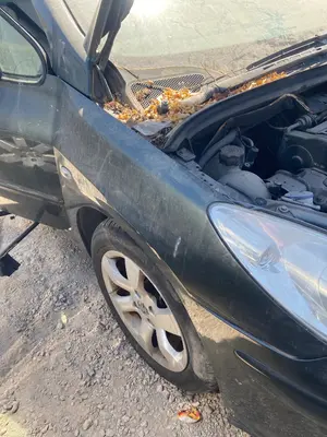 Foto de ALETA DELANTERA DERECHA PEUGEOT 307 CC CABRIO-COUPÉ (S2)