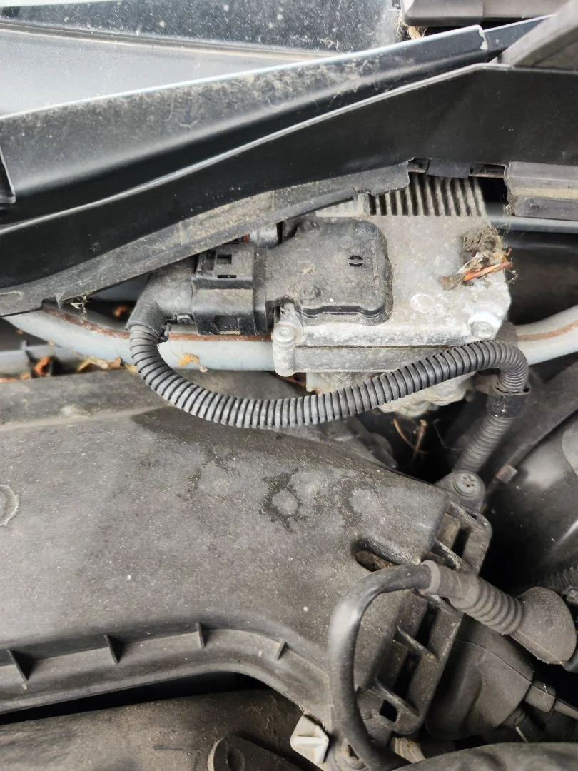 Foto de MOTOR LIMPIA DELANTERO AUDI A5 COUPE (8T) 2.0 16V TDI (170 CV / 125 KW) referencia 8T2955119D
