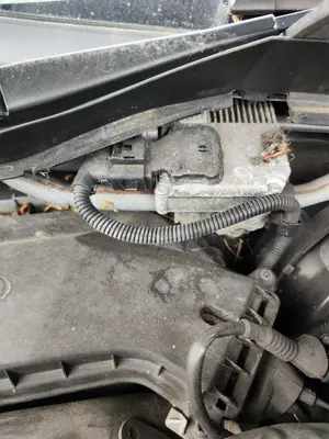 Foto de MOTOR LIMPIA DELANTERO AUDI A5 COUPE (8T) 2.0 16V TDI (170 CV / 125 KW) referencia 8T2955119D foto 1