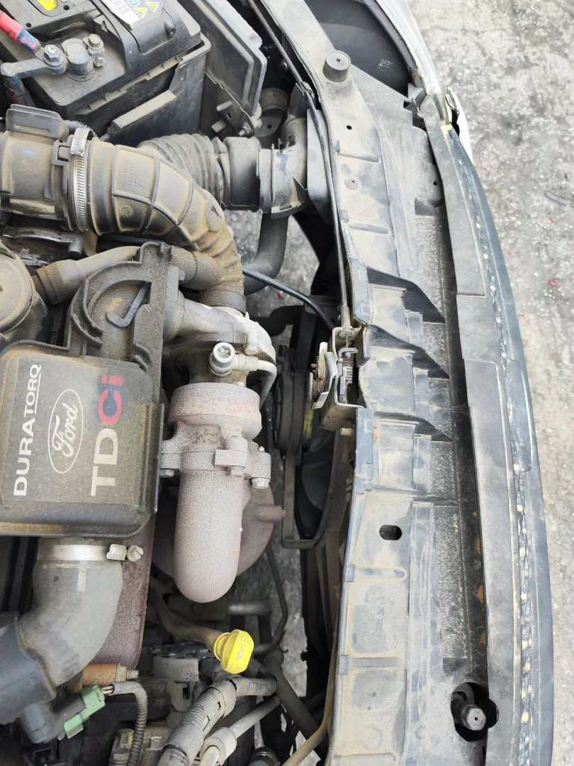 Foto de ELECTROVENTILADOR FORD FIESTA (CBK) 1.4 TDCi CAT (68 CV / 50 KW) referencia 1495687