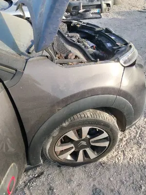 Foto de ALETA DELANTERA DERECHA CITROEN C3