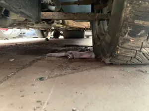 Foto de BRAZO SUSPENSION DELANTERO IZQUIERDO VOLKSWAGEN CADDY (2K)(02.2004) 2.0 SDI (69 CV / 51 KW)