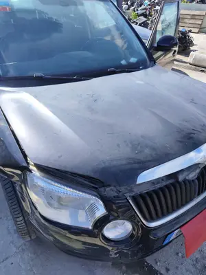 Foto de CAPO SKODA YETI (5L)(2009) 2.0 TDI (110 CV / 81 KW) foto 2