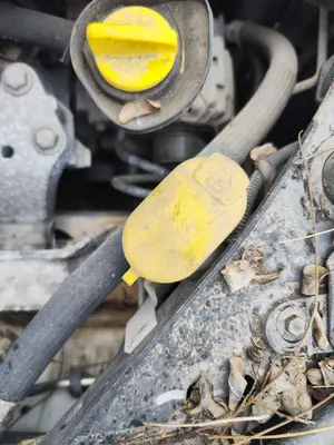 Foto de DEPOSITO LIMPIA RENAULT CLIO III 1.2 16V (75 CV / 55 KW)