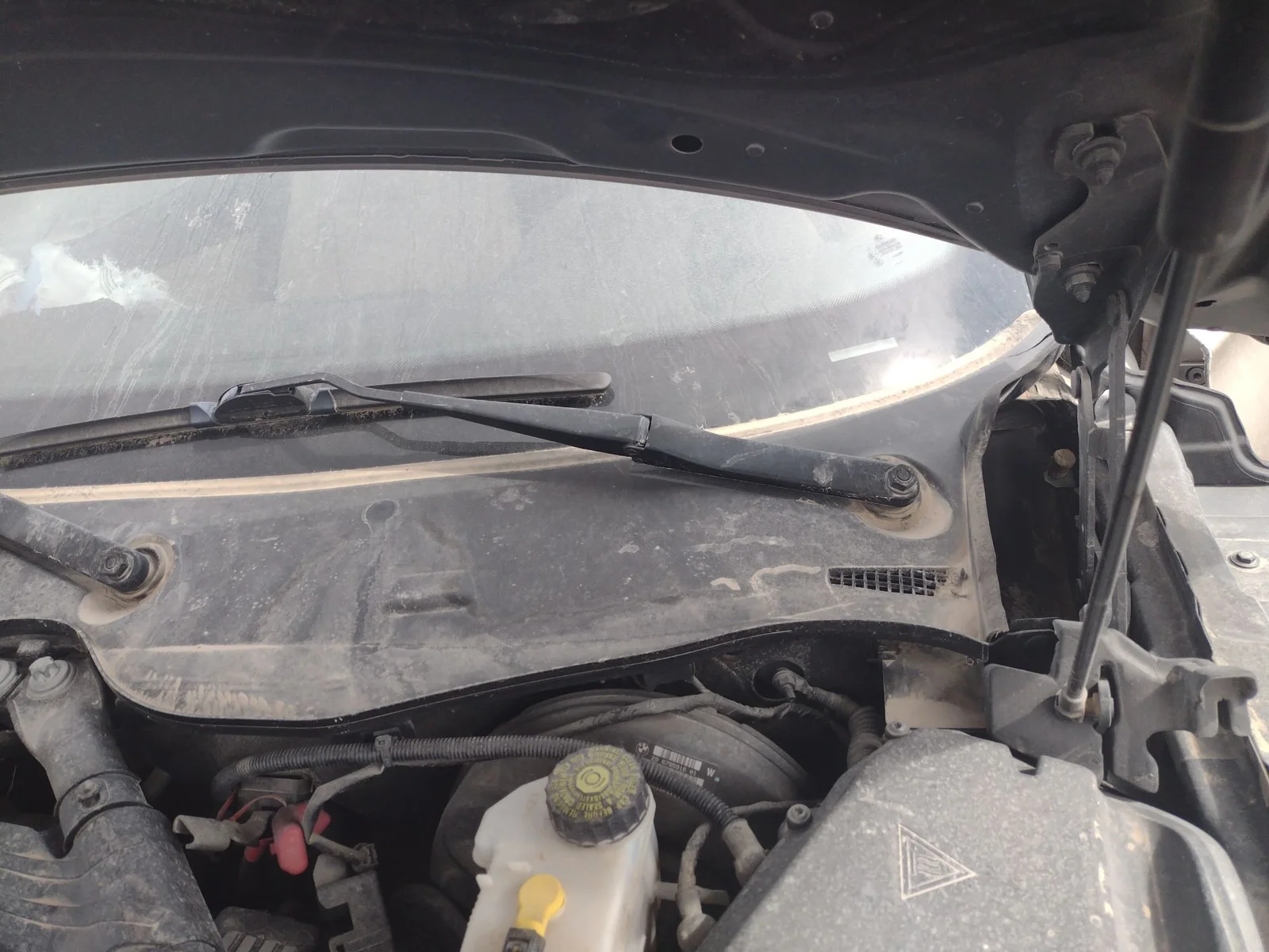 Foto de BRAZO LIMPIA DELANTERO IZQUIERDO BMW SERIE Z4 ROADSTER (E89) 2.5 24V CAT (204 CV / 150 KW) referencia 61617201869