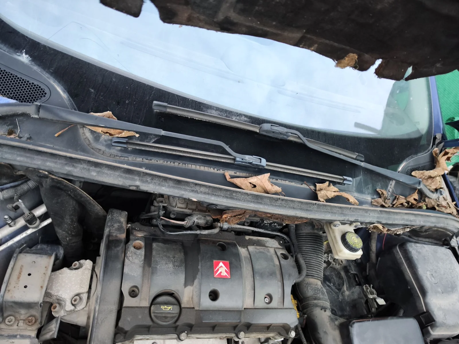 Foto de MOTOR LIMPIA DELANTERO PEUGEOT 307 (S1)(04.2001) 1.6 16V CAT (109 CV / 80 KW) referencia 6405J6