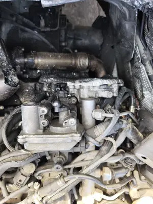 Foto de MOTOR COMPLETO AUDI A4 AVANT (8E) 3.0 V6 24V TDI (233 CV / 171 KW) referencia ASB foto 5