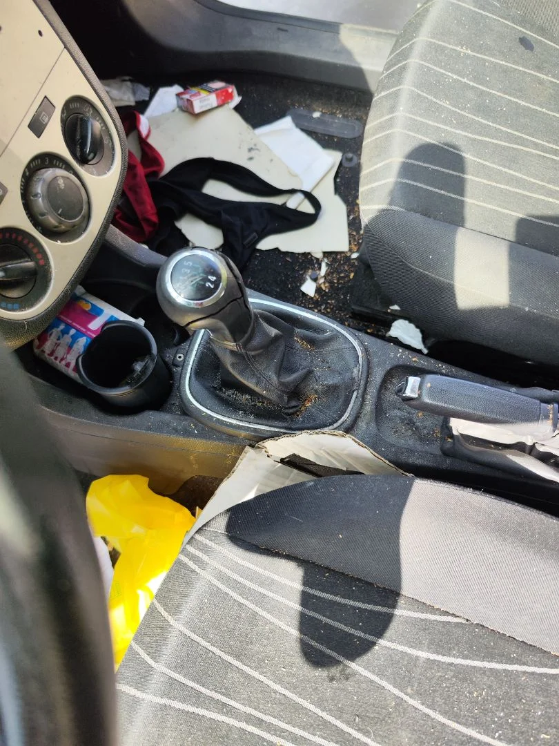 Foto de PALANCA CAMBIO OPEL CORSA D 1.3 16V CDTI (75 CV / 55 KW) referencia 55493548