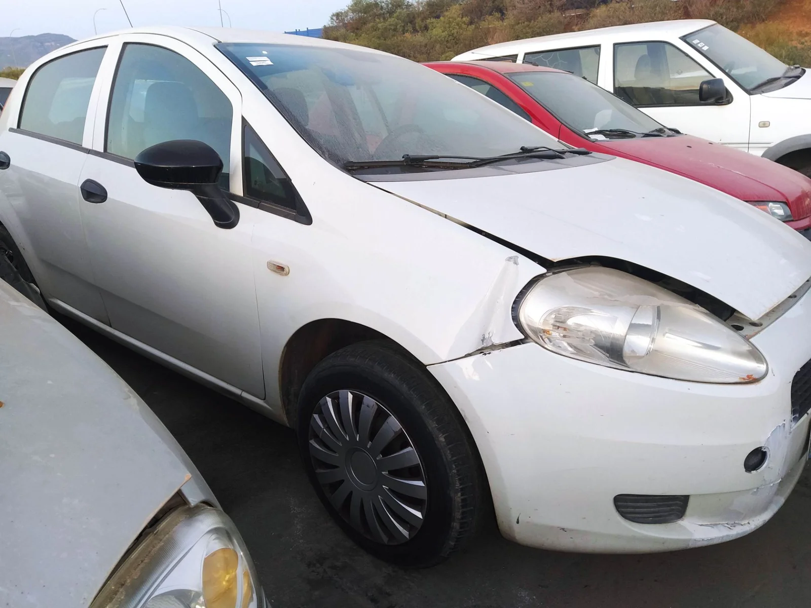 Foto de LLANTA FIAT GRANDE PUNTO (199) 1.3 16V JTD CAT (75 CV / 55 KW) referencia 0050529059