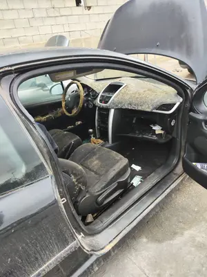 Foto de GOMAS CONTORNO PUERTA PEUGEOT 207 1.4 16V CAT (KFU / ET3J4) (88 CV / 65 KW)