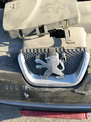Foto de REJILLA DELANTERA PEUGEOT 407 1.6 HDi FAP CAT (9HZ / DV6TED4) (109 CV / 80 KW)