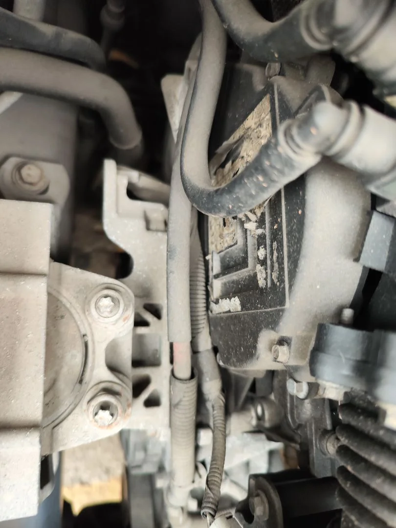 Foto de MOTOR ARRANQUE FORD FOCUS C-MAX (CAP)(2003) 1.6 TDCi CAT (109 CV / 80 KW) referencia 2109635