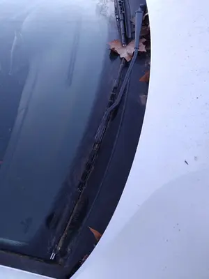 Foto de BRAZO LIMPIA DELANTERO DERECHO VOLKSWAGEN PASSAT BERLINA (3B2) 1.9 TDI (110 CV / 81 KW) referencia 3B1955410