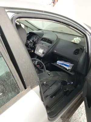 Foto de GOMAS CONTORNO PUERTA SEAT ALTEA (5P1) 1.9 TDI (105 CV / 77 KW)
