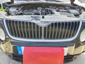 Foto de REJILLA DELANTERA SKODA YETI (5L)(2009) 2.0 TDI (110 CV / 81 KW)