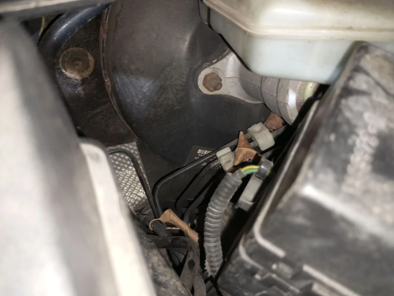 Foto de SERVOFRENO FORD FIESTA (CBK) 1.25 16V CAT (69 CV / 51 KW)