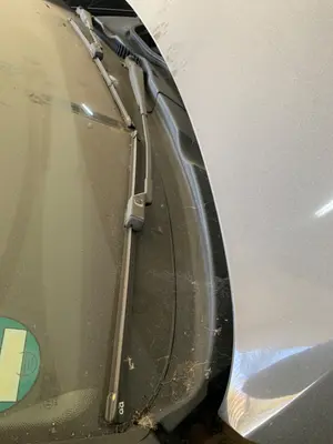 Foto de BRAZO LIMPIA DELANTERO DERECHO VOLKSWAGEN PASSAT VARIANT (3C5) 2.0 TDI (140 CV / 103 KW) referencia 3C1955410B foto 2