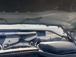 Foto de BRAZO LIMPIA DELANTERO IZQUIERDO BMW SERIE 5 BERLINA (E60) 3.0 24V CAT (231 CV / 170 KW) referencia 61619449959