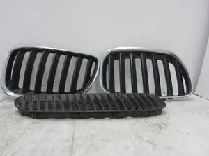 Foto de REJILLA DELANTERA BMW SERIE X5 (E53)