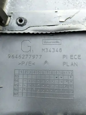 Foto de GUARNECIDO PUERTA TRASERA IZQUIERDA CITROEN C4 BERLINA 1.6 16V HDi (90 CV / 66 KW) referencia 9646277977 foto 3