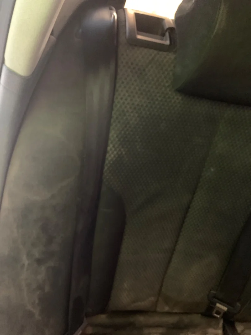 Foto de CINTURON SEGURIDAD TRASERO DERECHO VOLKSWAGEN PASSAT VARIANT (3C5) 2.0 TDI (140 CV / 103 KW)