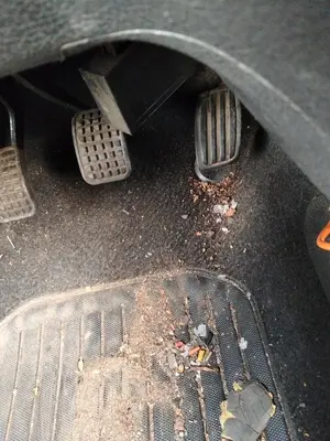 Foto de PEDAL ACELERADOR PEUGEOT 106 (S2) 1.1  (60 CV / 44 KW)