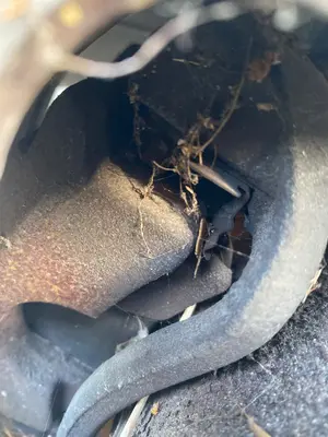 Foto de PINZA DE FRENO DELANTERA IZQUIERDA CITROEN JUMPER COMBI