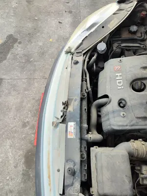 Foto de PANEL FRONTAL CITROEN XSARA PICASSO 2.0 HDi CAT (RHY / DW10TD) (90 CV / 66 KW)