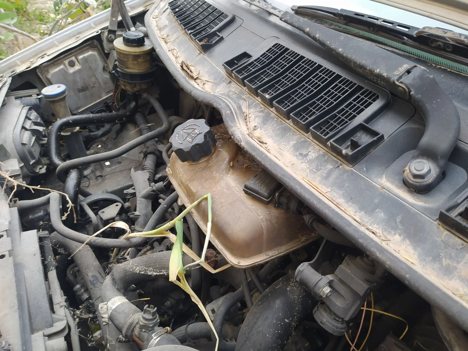 Foto de DEPOSITO EXPANSION PEUGEOT EXPERT FURGÓN COMFORT (1995) 2.0 HDi (109 CV / 80 KW)