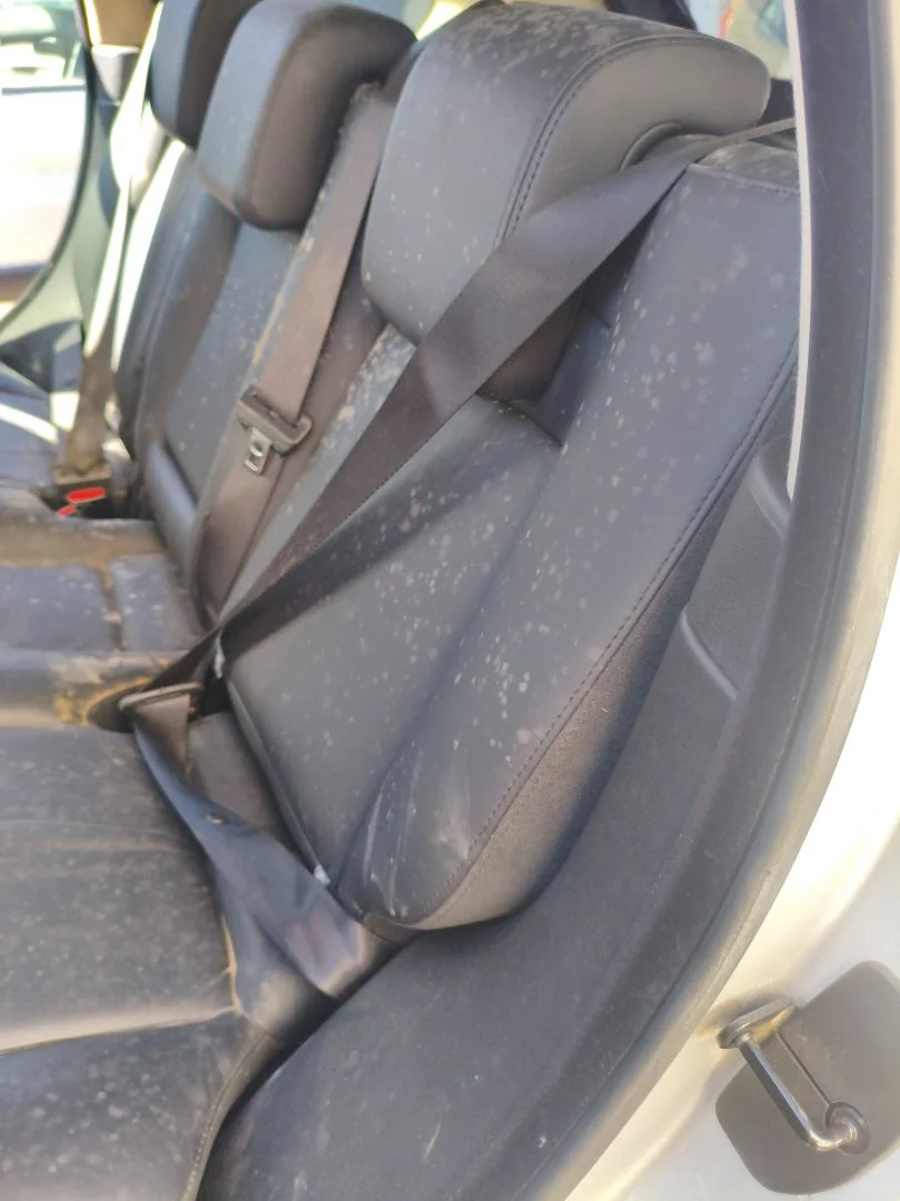 Foto de CINTURON SEGURIDAD TRASERO IZQUIERDO LAND ROVER RANGE ROVER SPORT 4.4 V8 CAT (299 CV / 220 KW)