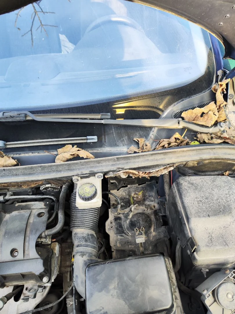 Foto de BRAZO LIMPIA DELANTERO IZQUIERDO PEUGEOT 307 (S1)(04.2001) 1.6 16V CAT (109 CV / 80 KW)