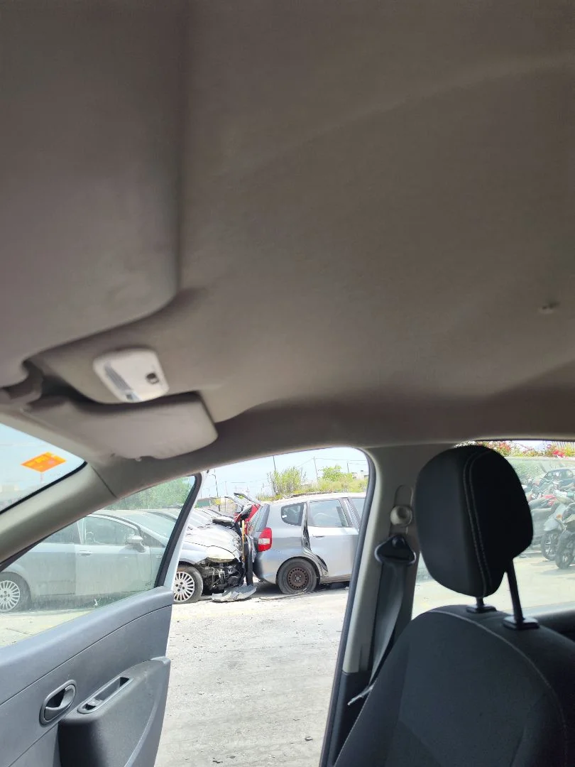 Foto de TECHO INTERIOR RENAULT CLIO III 1.2 16V (75 CV / 55 KW)