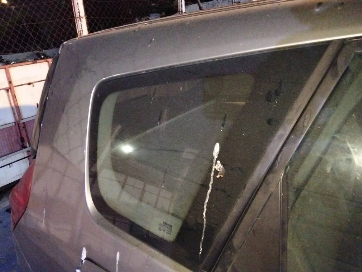 Foto de LUNA CUSTODIA TRASERA DERECHA RENAULT SCENIC II (JM)