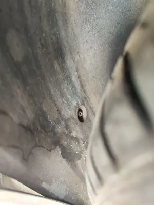 Foto de PASO RUEDA TRASERO DERECHO OPEL VECTRA B BERLINA 2.0 DTI (101 CV / 74 KW) referencia 9134851